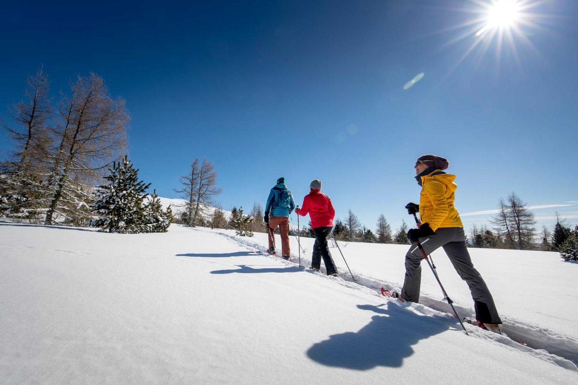 Feriendorf Murau By Alps Resorts 外观 照片