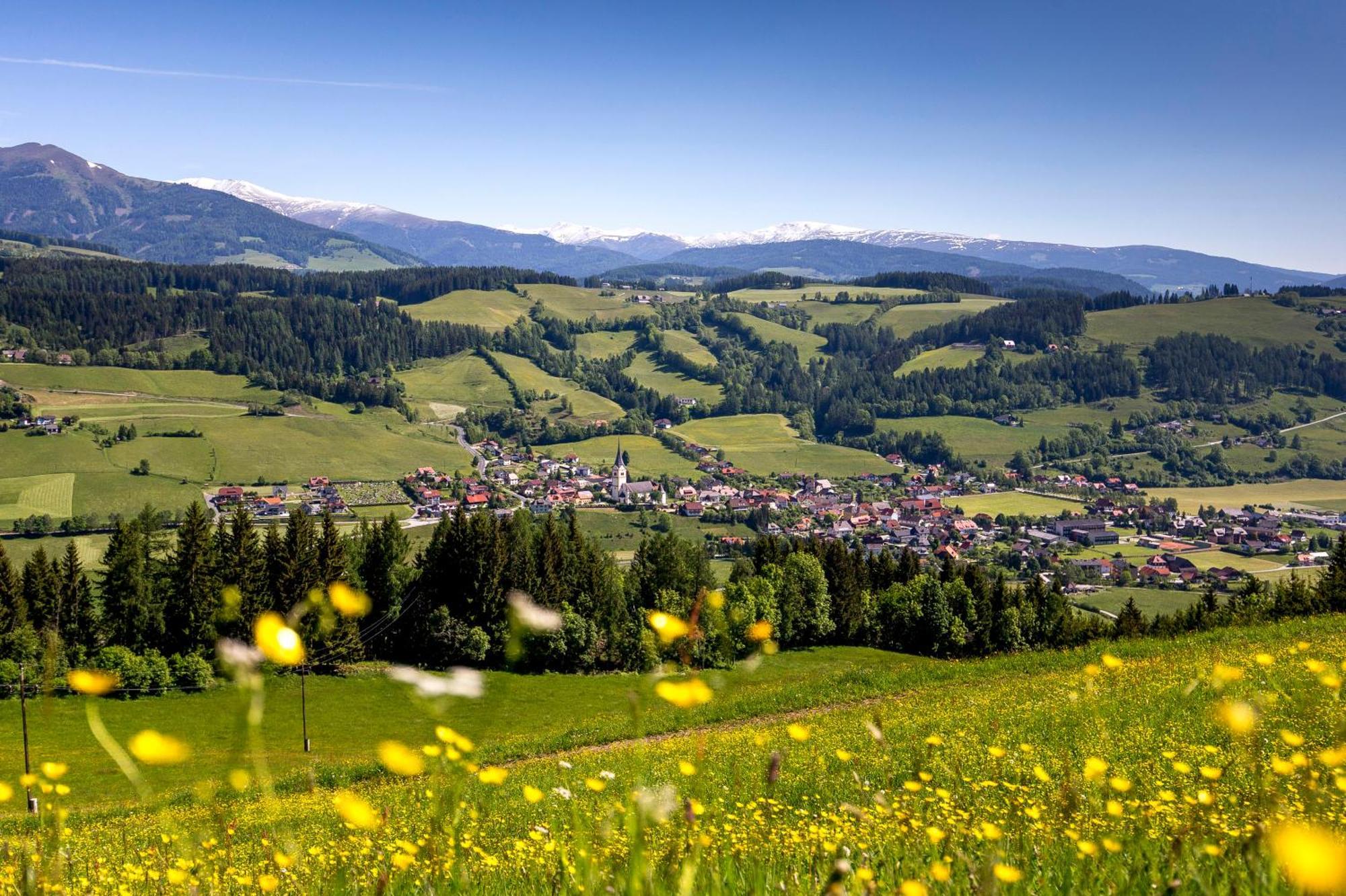 Feriendorf Murau By Alps Resorts 外观 照片