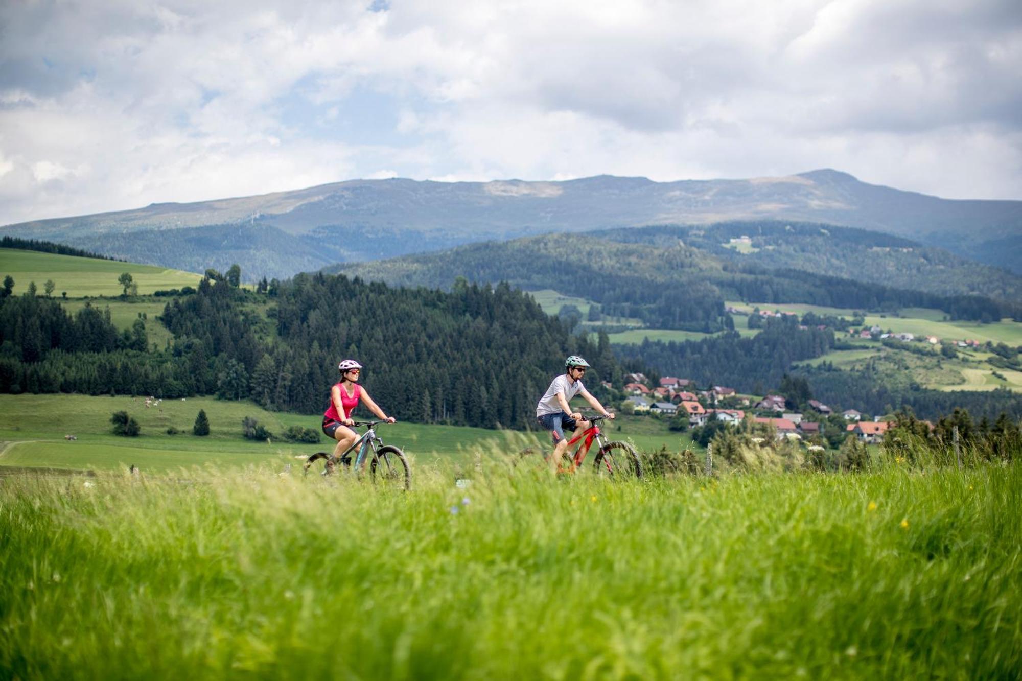 Feriendorf Murau By Alps Resorts 外观 照片